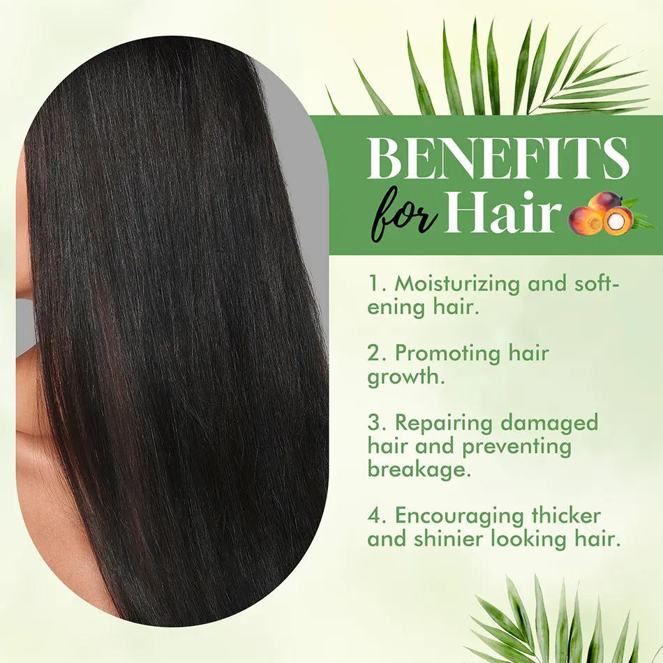 Organic Batana Oil for Hair Growth & Scalp Care – Cold-Pressed, Paraben-Free | 60ml