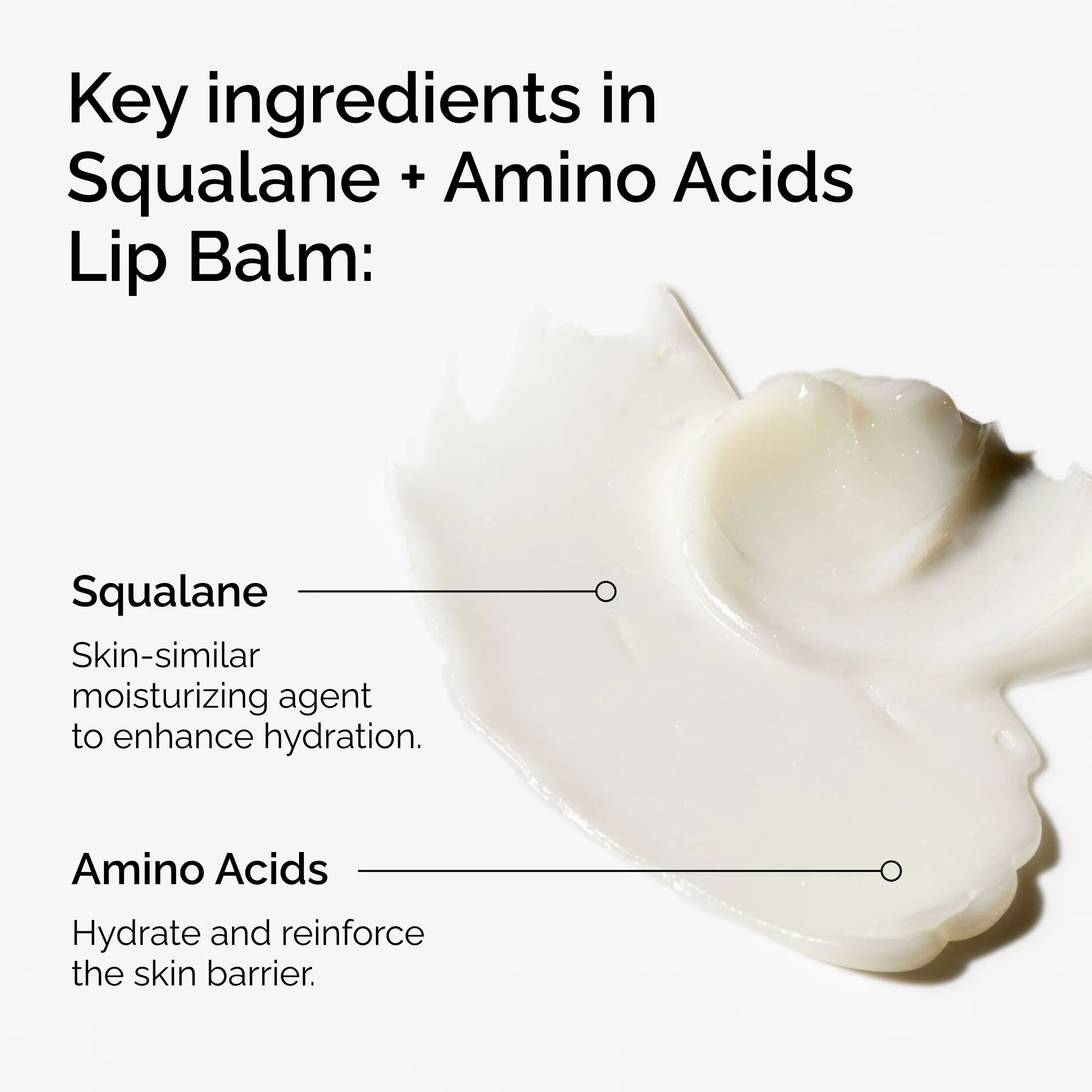 Squalane + Amino Acids Lip Balm – Deep Hydration & Plumping Lip Treatment for Dry, Chapped Lips