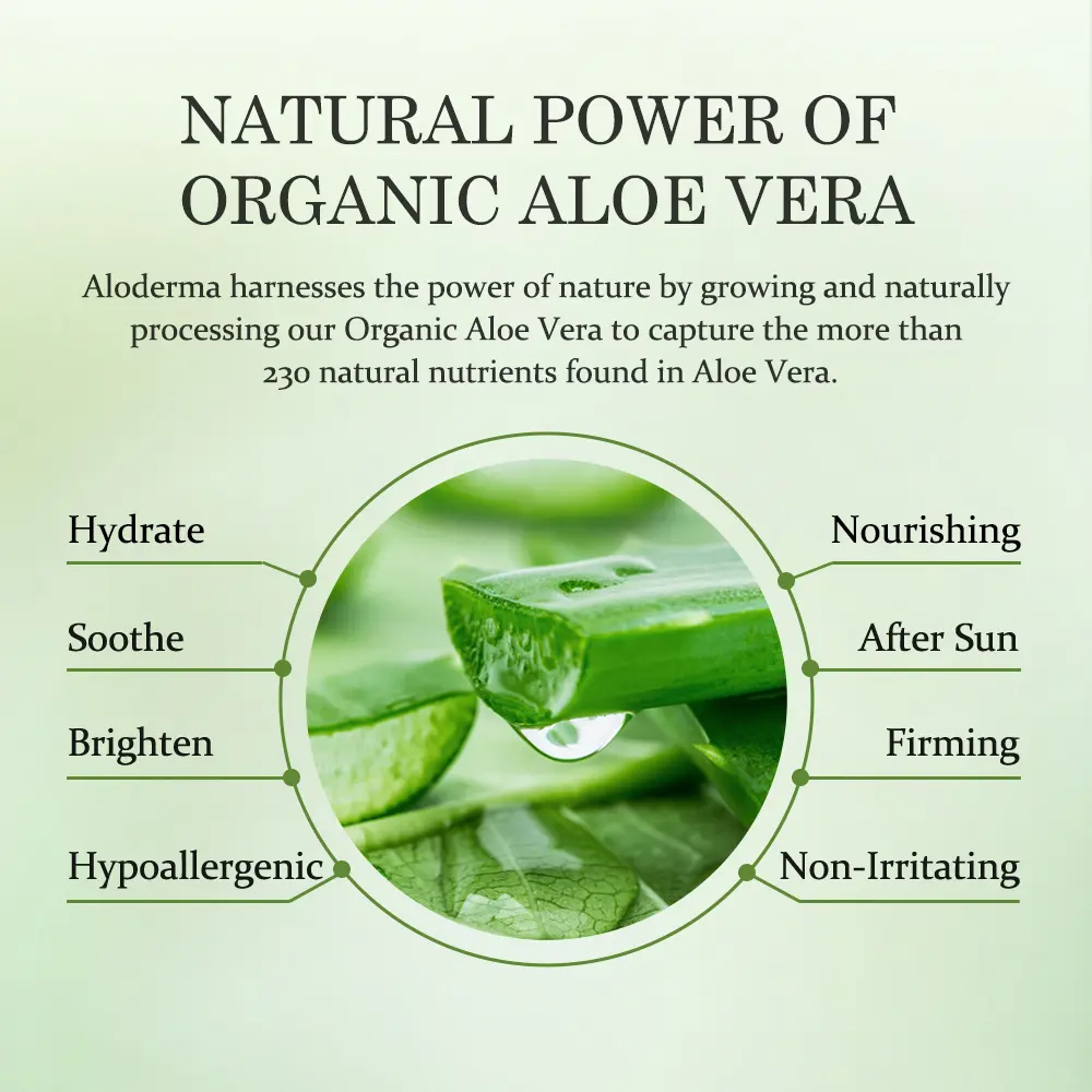 ALODERMA Pure Aloe Vera Gel – 96% Organic Aloe, Harvested Fresh within 12 Hours | 7.05 oz